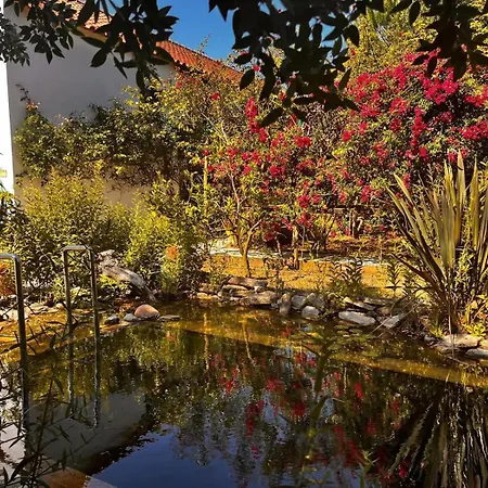 Ip7 - House In Nature Venkovský dům Carvalhal (Leiria)